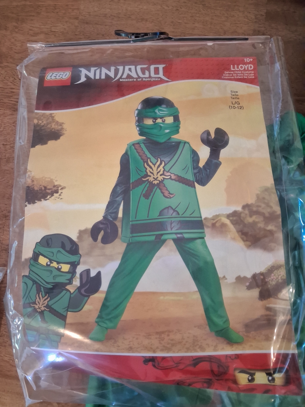 Lloyd Green Kids Costume